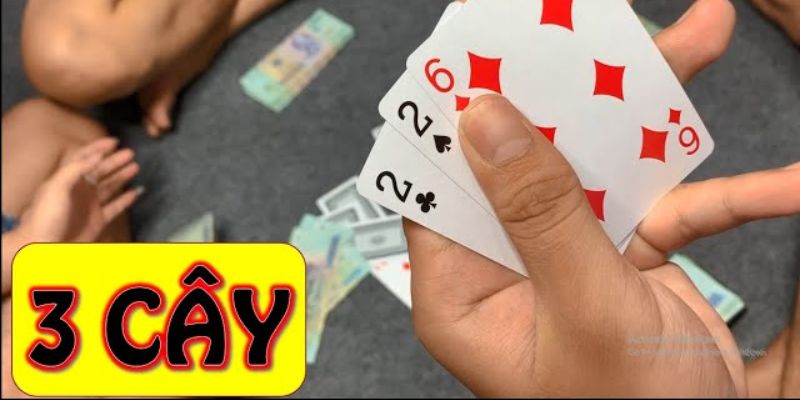 Game bài 3 cây được nhiều người chơi đặc biệt yêu thích